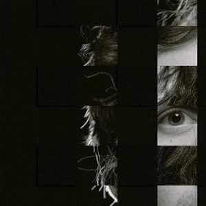 少妇一级婬片A片黑豹
